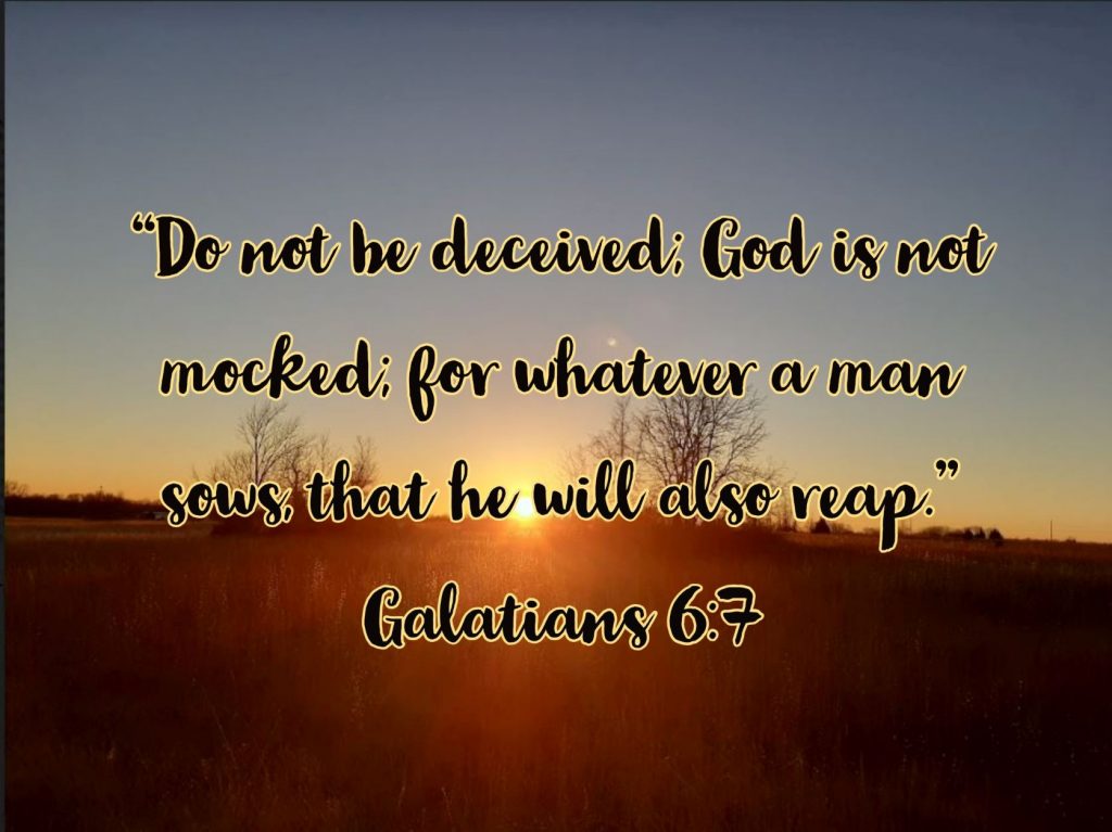 A New Creature in Christ